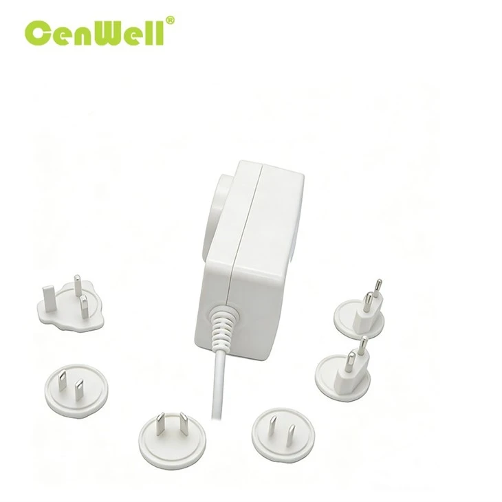 48W Interchangeable Power Adapter 006