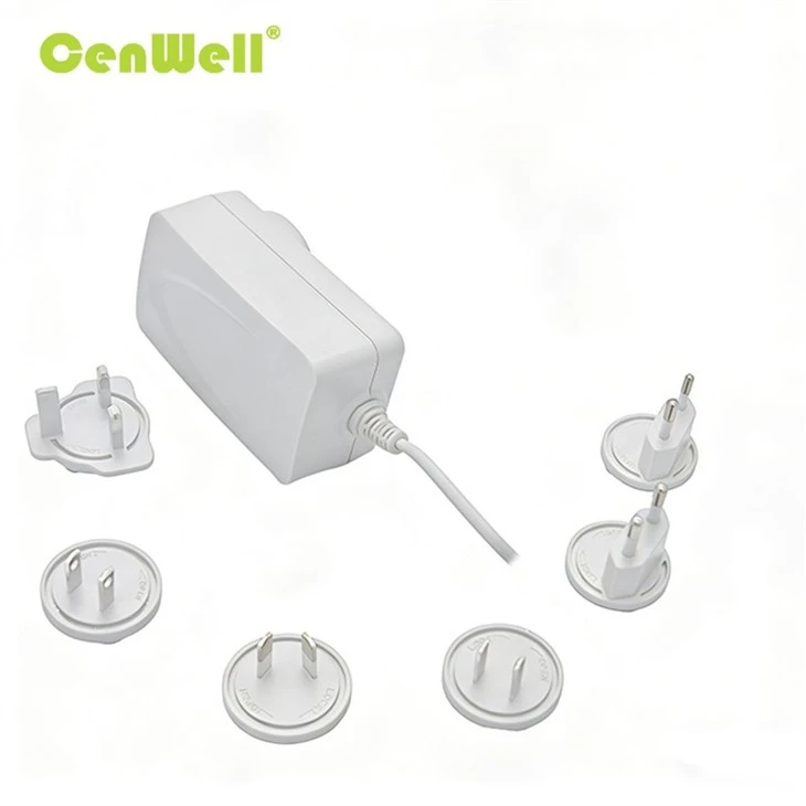 48W Interchangeable Power Adapter 007